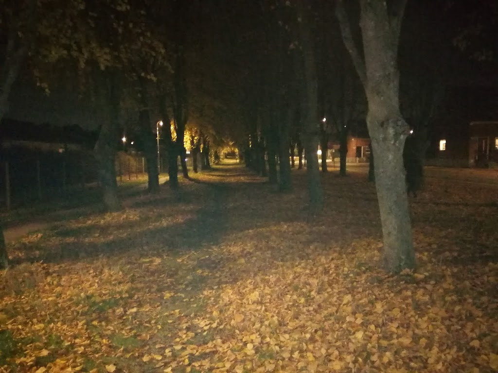 soborg-parkalle-17.jpeg