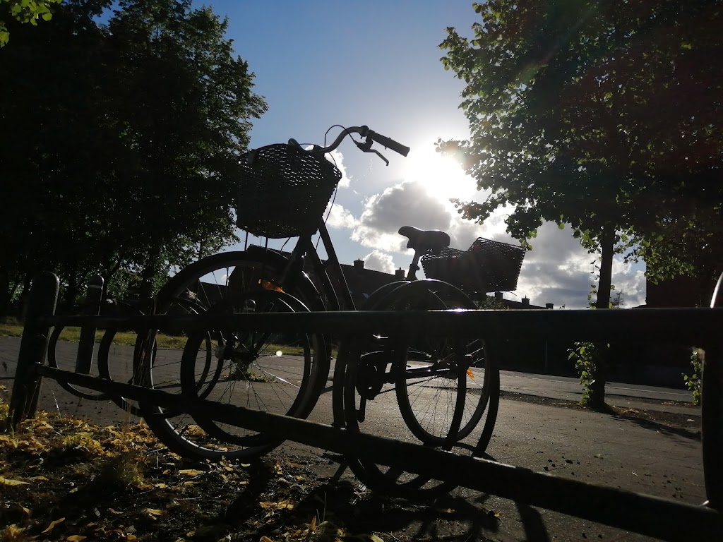 soborg-parkalle-2.jpeg