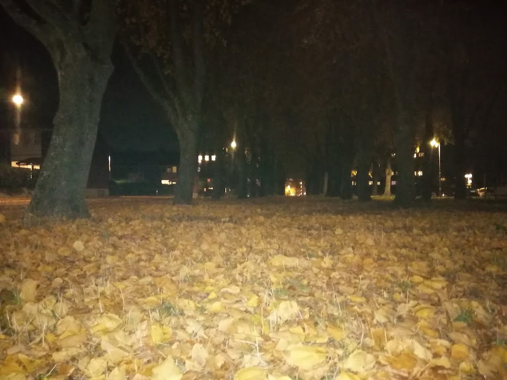 soborg-parkalle-9.jpeg