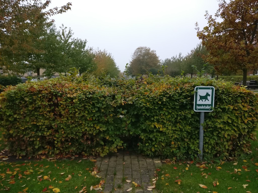 christians-torv-park-hunde-toilet-0.jpeg