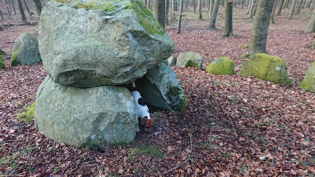 broby-vesterskov-langdysse-3-1.jpeg