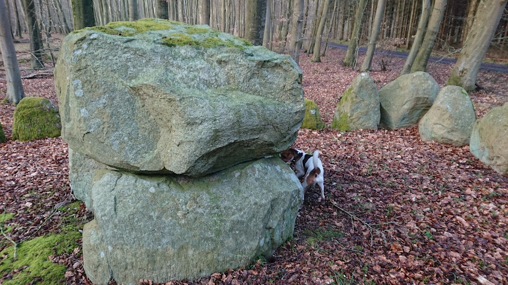 broby-vesterskov-langdysse-3-16.jpeg