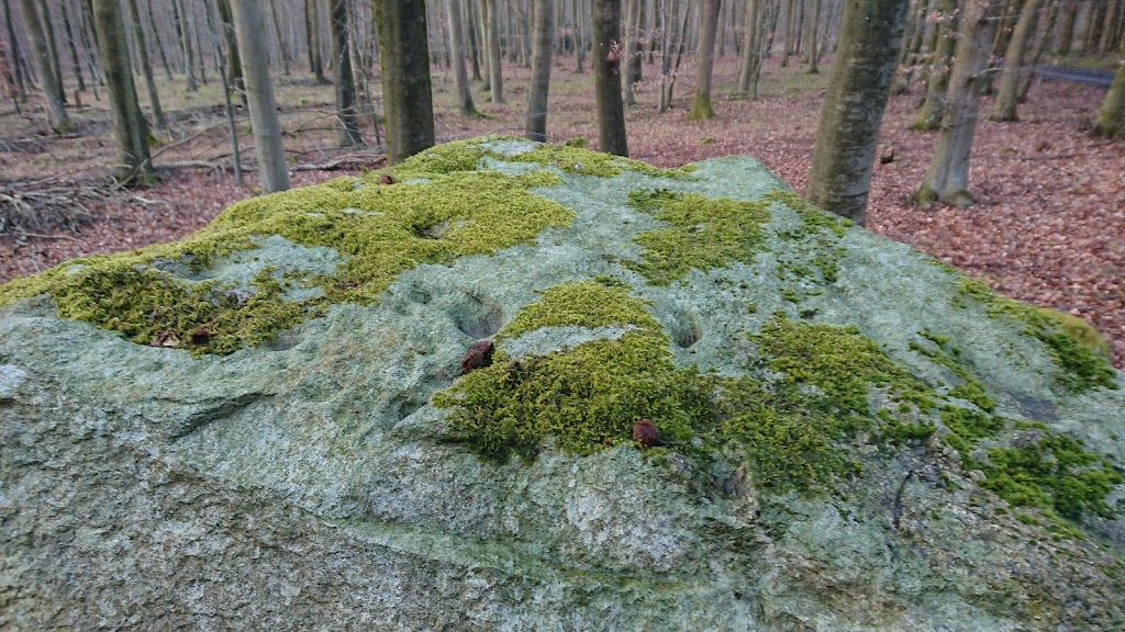 broby-vesterskov-langdysse-3-4.jpeg