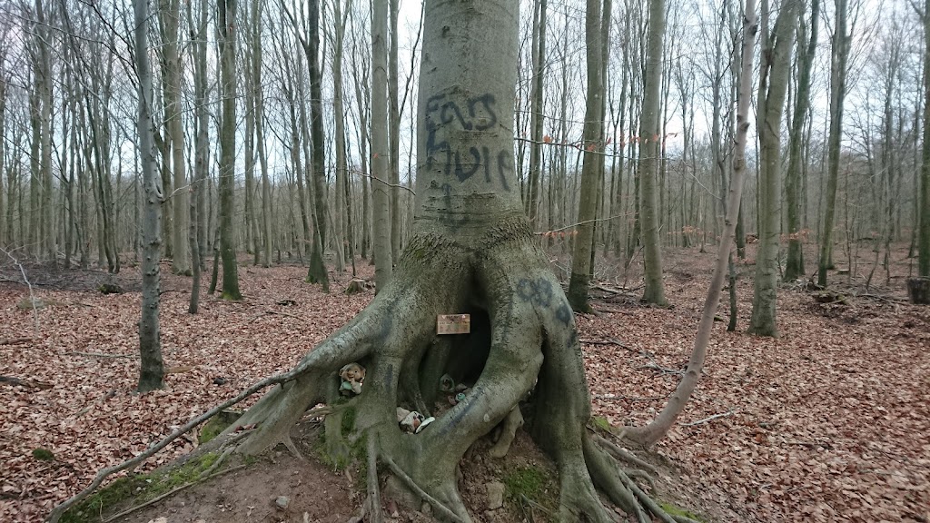 flommen-11.jpeg
