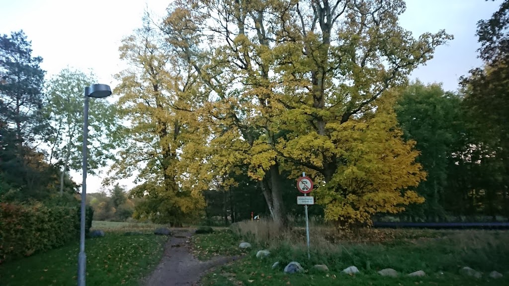flommen-12.jpeg
