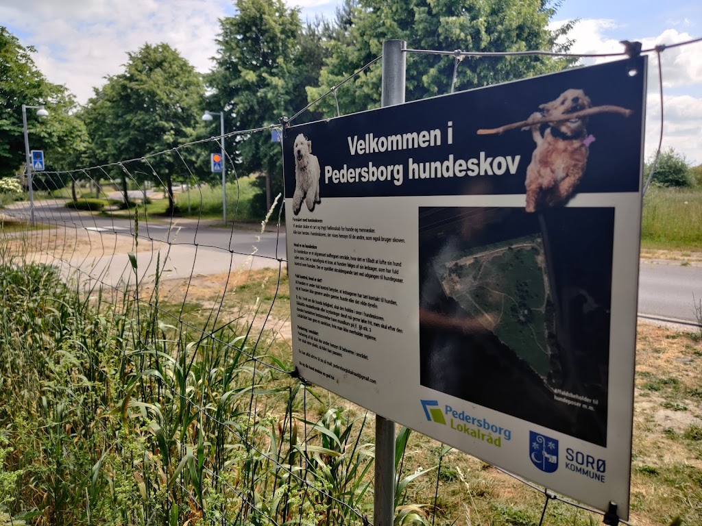 pedersborg-dog-park-2.jpeg