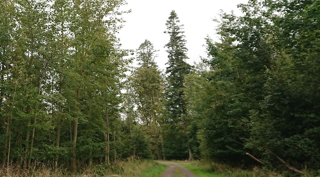 sonderskov-10.jpeg
