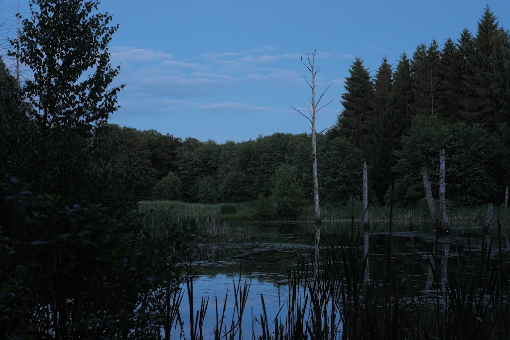 store-braenteljung-4.jpeg