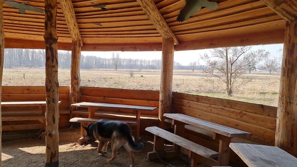 balhytte-og-shelter-4.jpeg