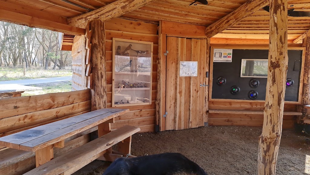 balhytte-og-shelter-6.jpeg