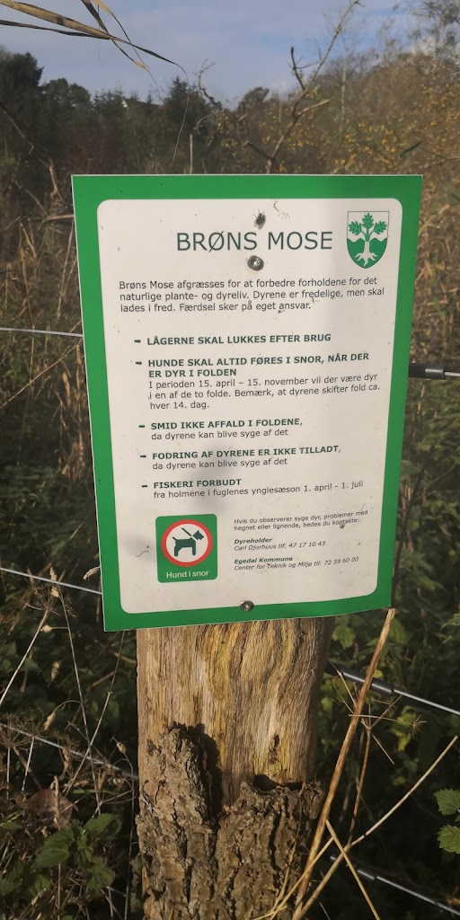 brons-mose-16.jpeg