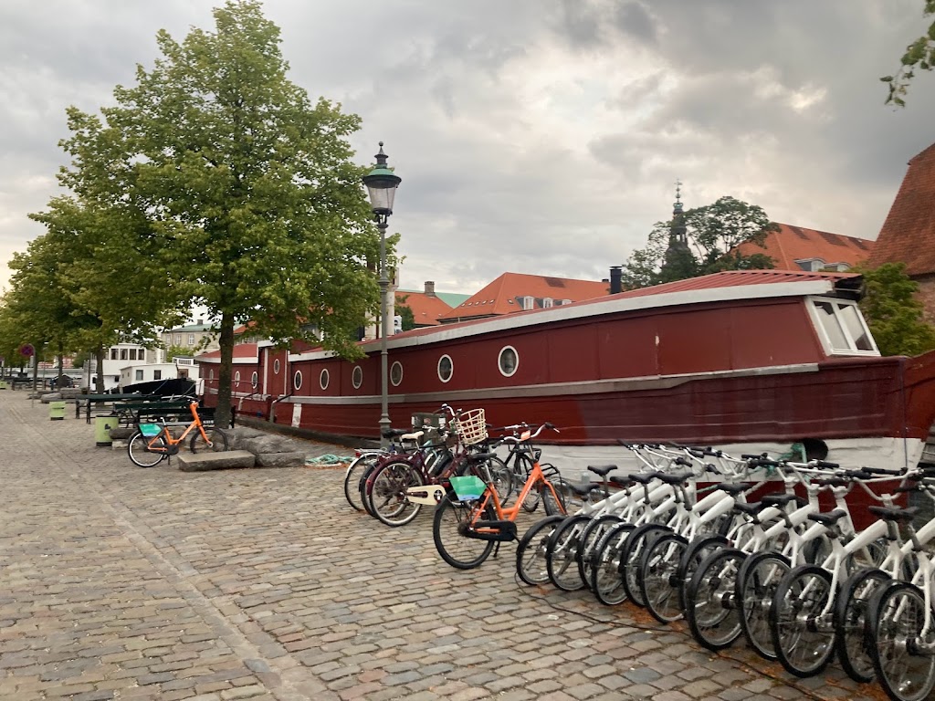 johan-borup-college-8.jpeg