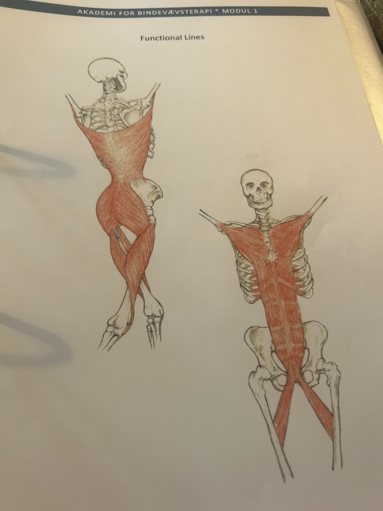 bodymove-healing-4.jpeg