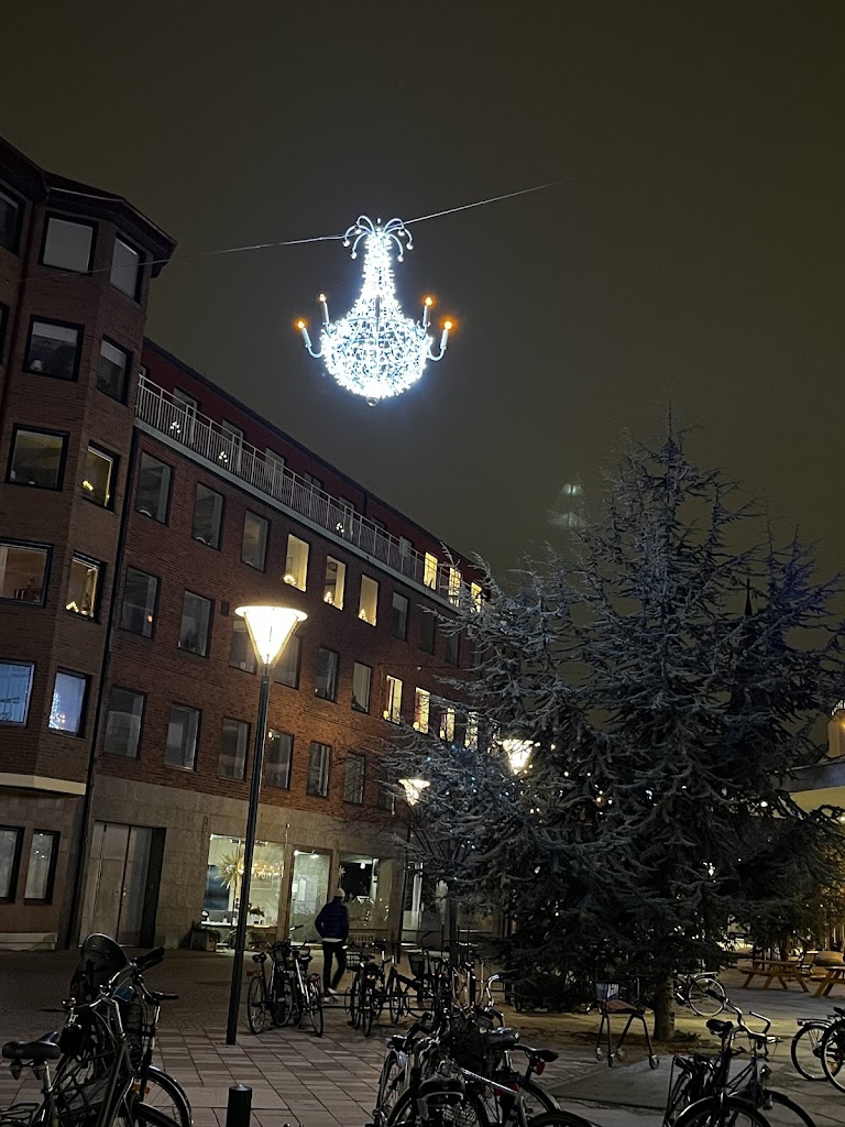 de-rattenplein-0.jpeg