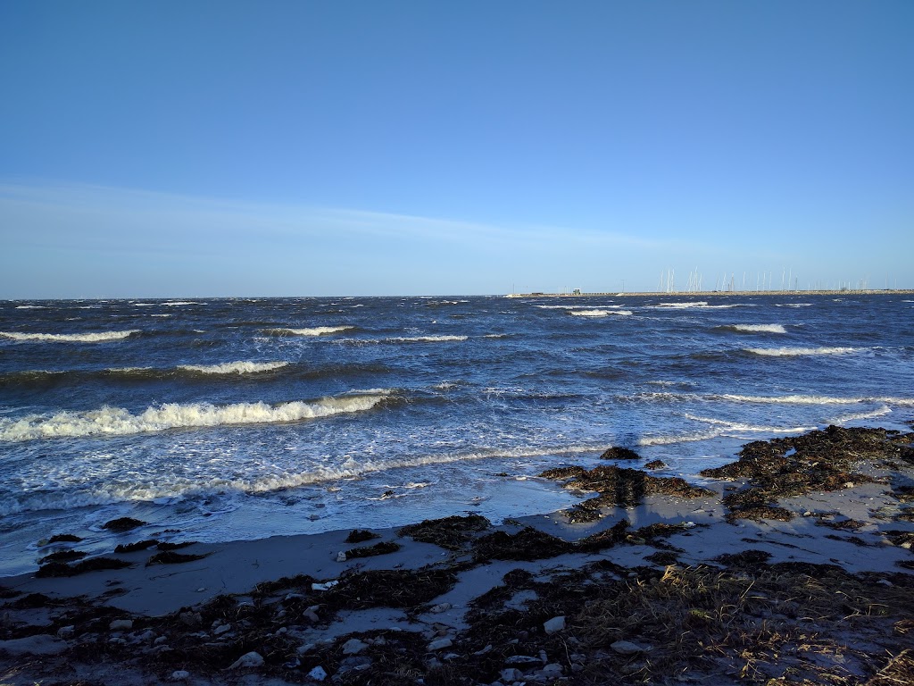 sibbarps-kallbadhus-15.jpeg