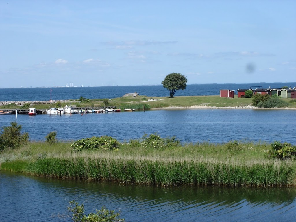 sibbarps-kallbadhus-6.jpeg