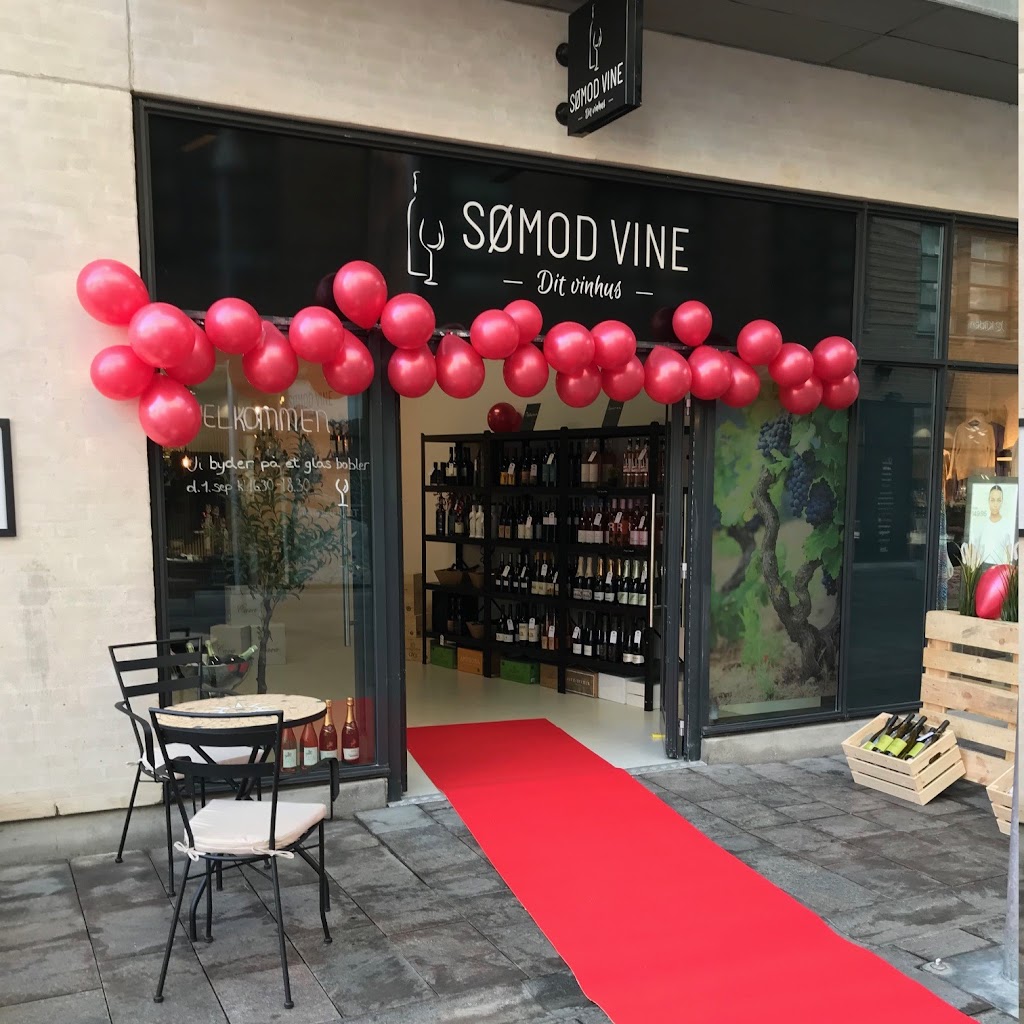 somod-vine-dit-vinhus-13.jpeg