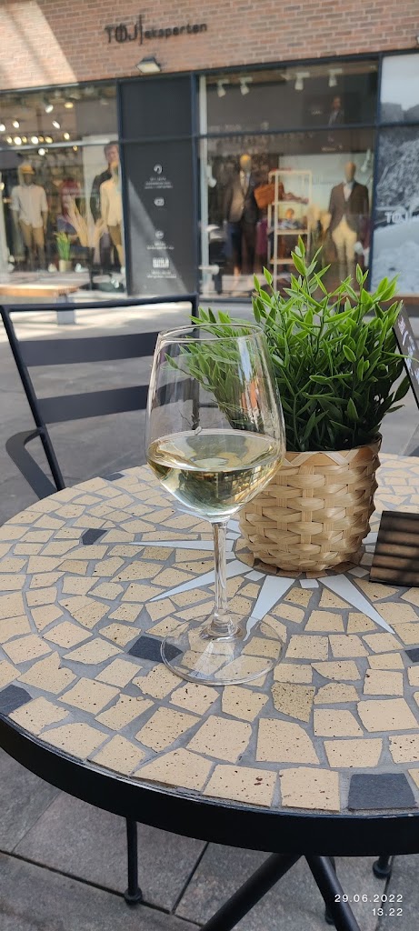 somod-vine-dit-vinhus-5.jpeg