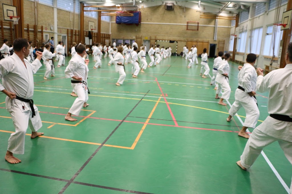 landskrona-karate-shotokan-academy-0.jpeg