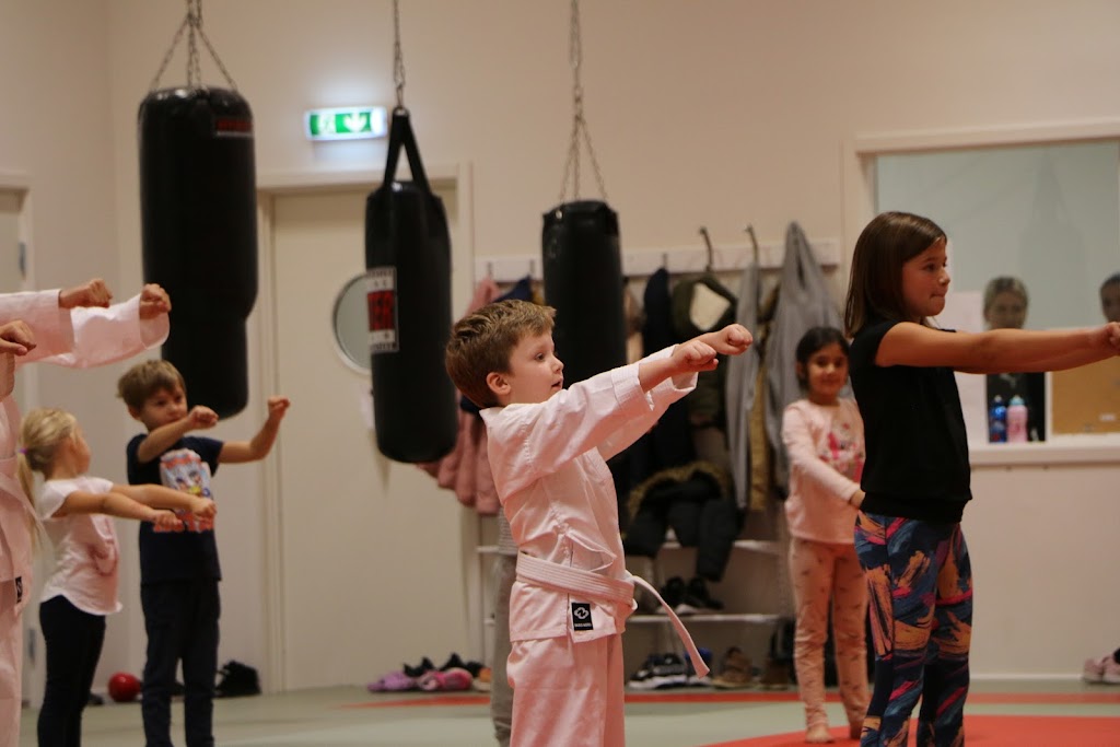 landskrona-karate-shotokan-academy-18.jpeg
