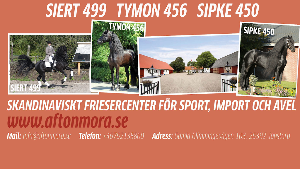 aftonmora-friesians-3.jpeg