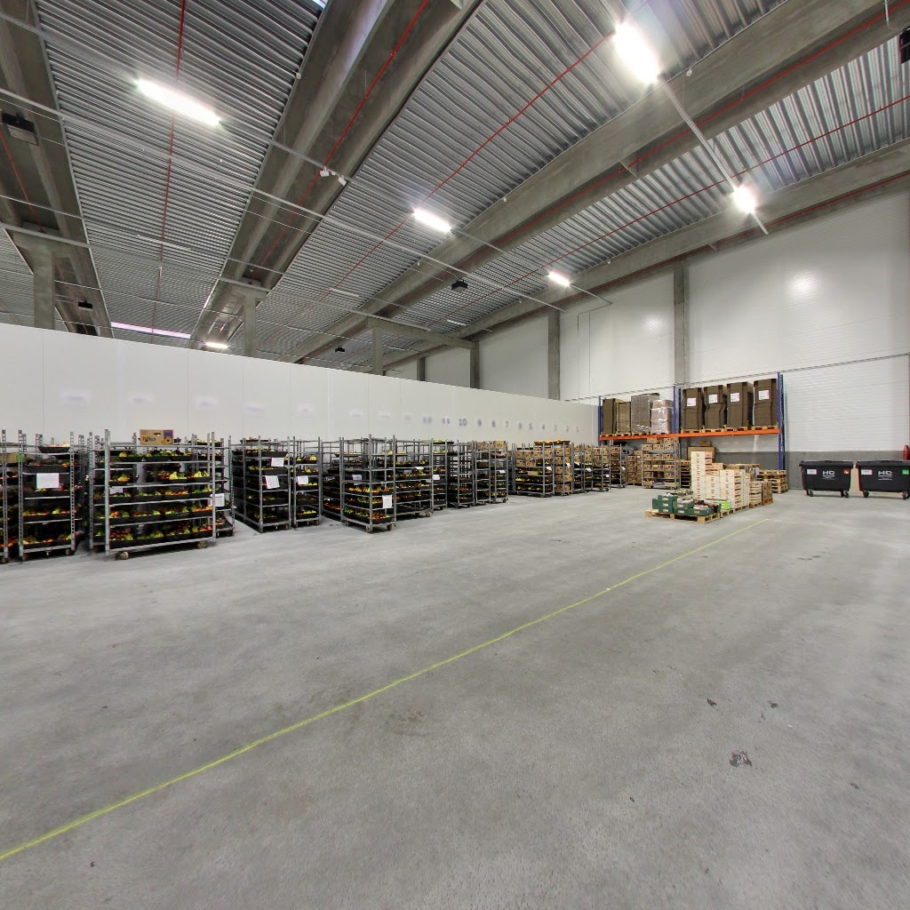 company-fruit-fruit-scheme-frugtkurven-dk-5.jpeg