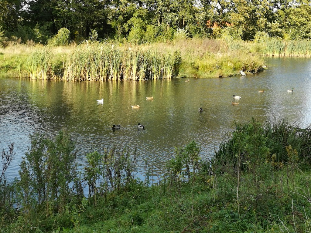molleparken-discgolfbane-0.jpeg