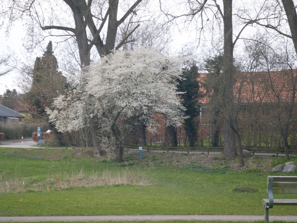 molleparken-discgolfbane-1.jpeg