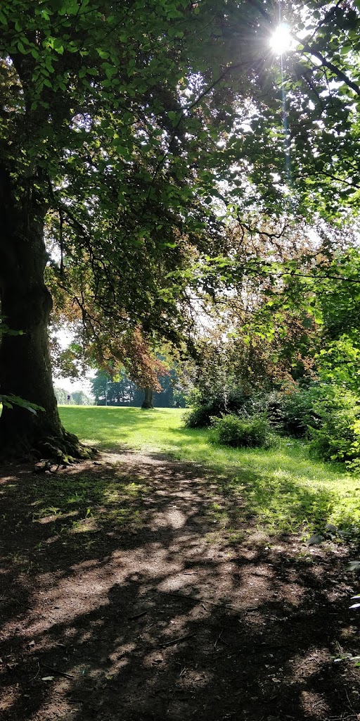molleparken-discgolfbane-16.jpeg