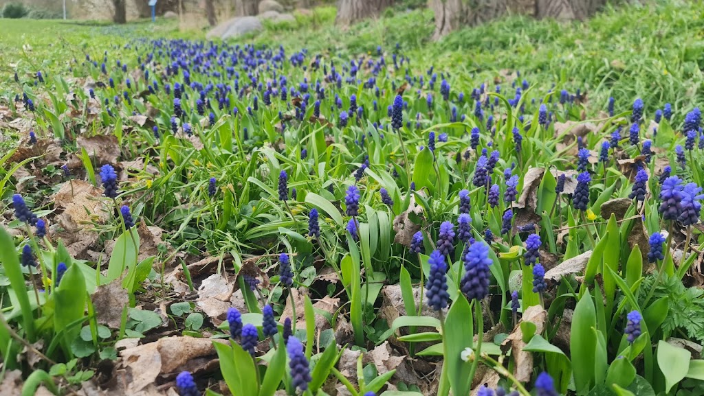 molleparken-discgolfbane-5.jpeg