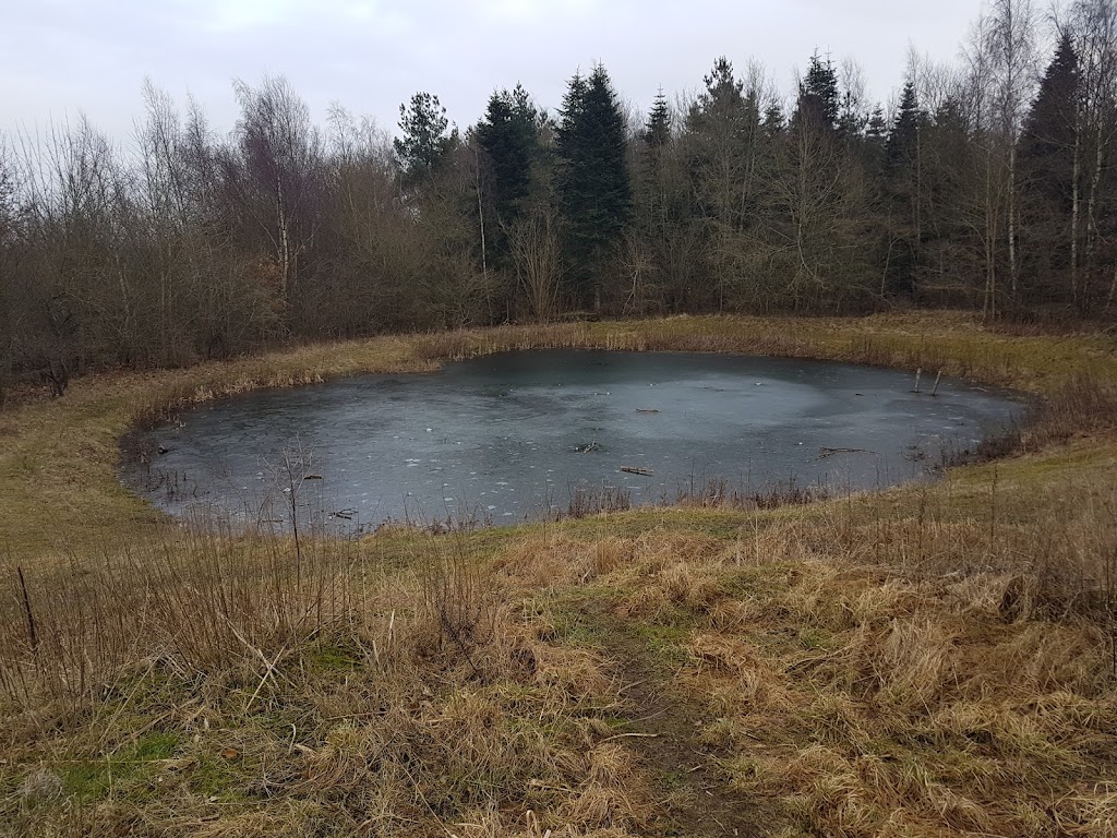 shelter-in-kroppedal-vestskoven-12.jpeg
