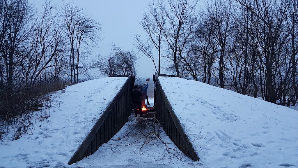 shelter-in-kroppedal-vestskoven-18.jpeg