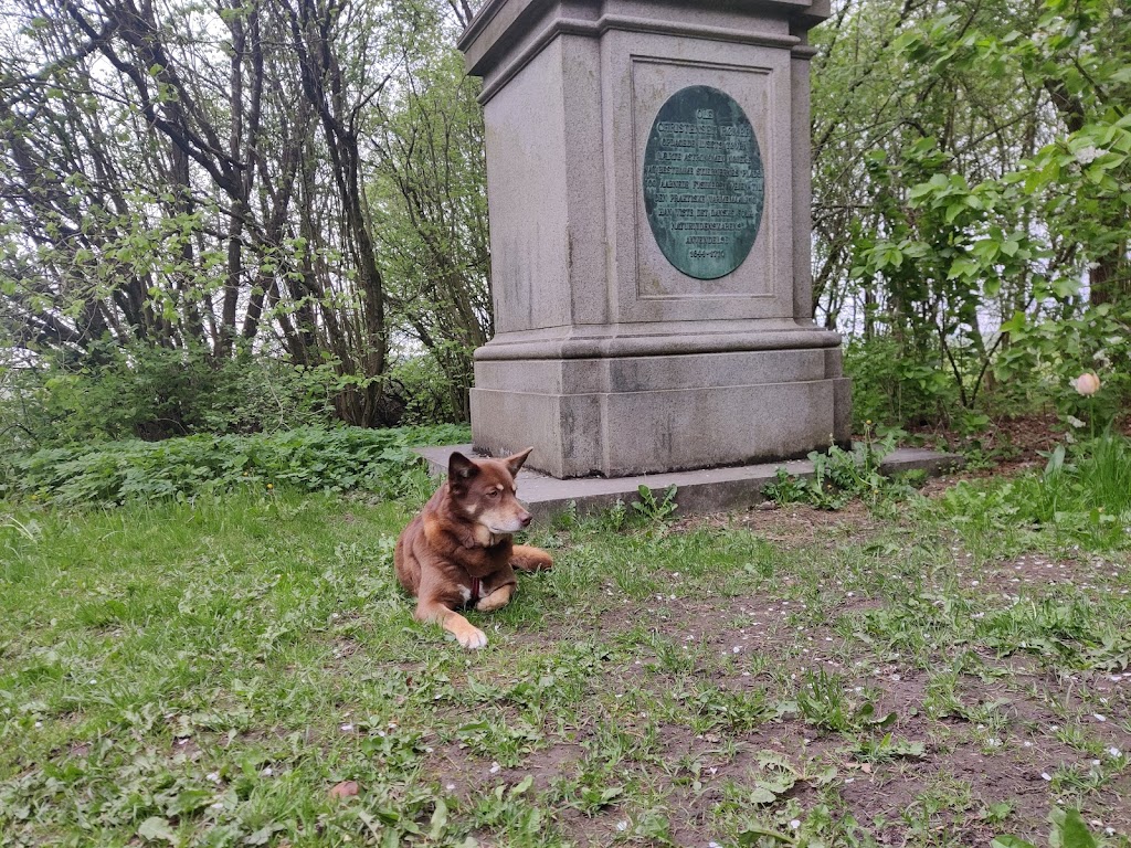 shelter-in-kroppedal-vestskoven-9.jpeg