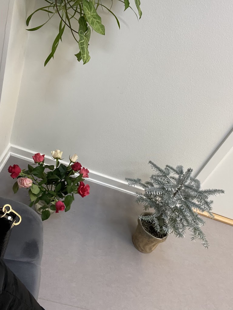ballerup-kiropraktor-15.jpeg