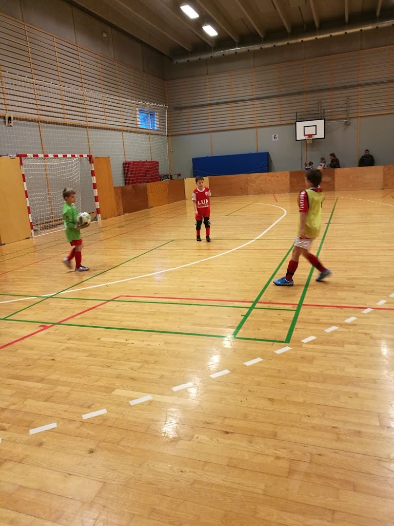 malov-new-hall-4.jpeg