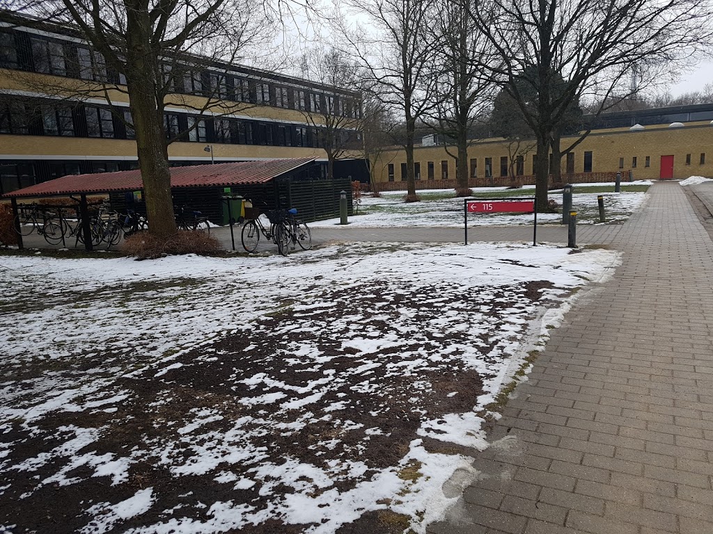dtu-environment-5.jpeg