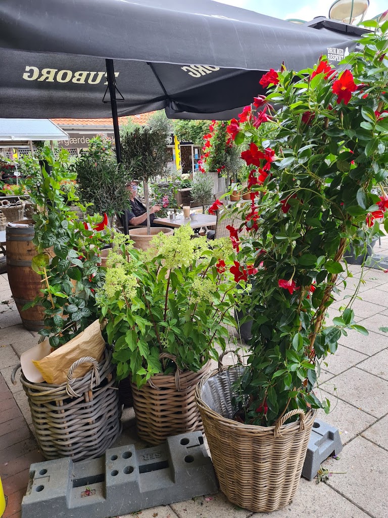 cafe-kaffeblomst-7.jpeg
