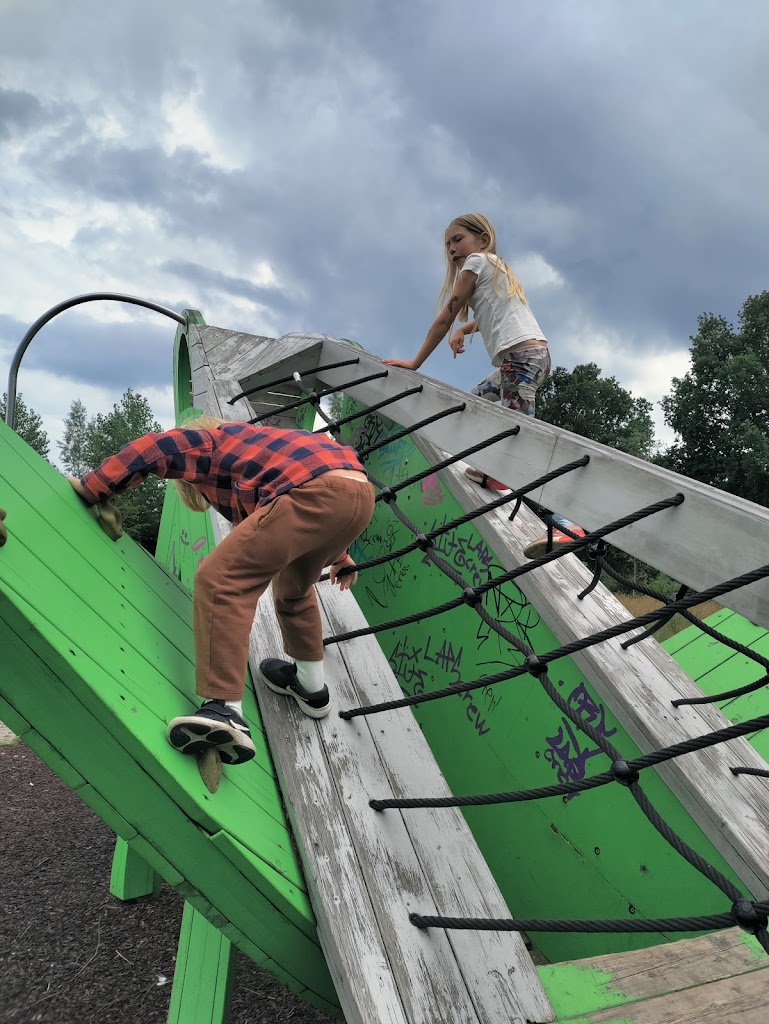 grasshopper-playground-4.jpeg
