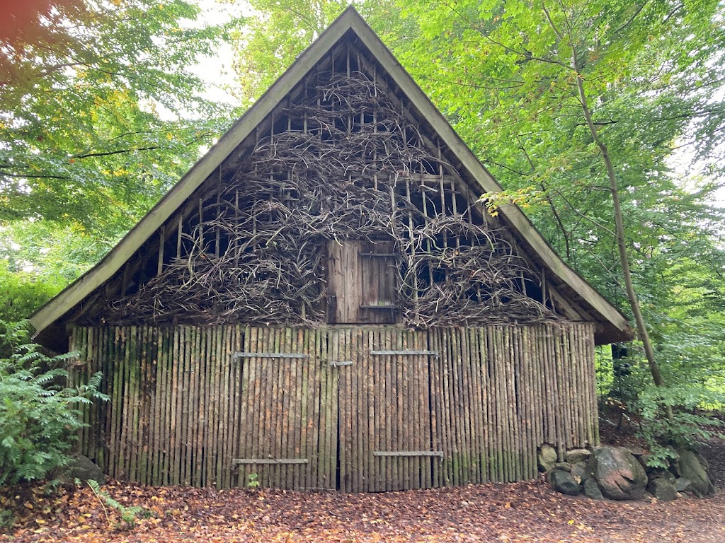 eva-broby-awake-in-nature-1.jpeg