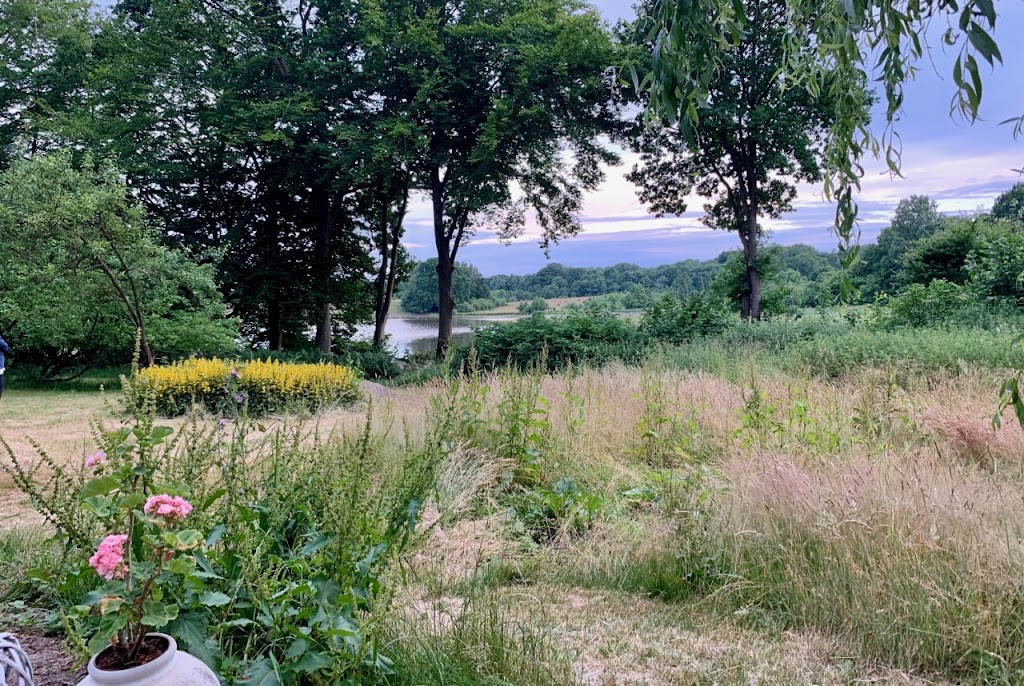 eva-broby-awake-in-nature-3.jpeg