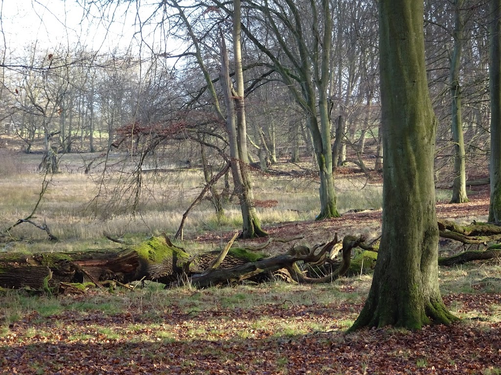 eva-broby-awake-in-nature-5.jpeg