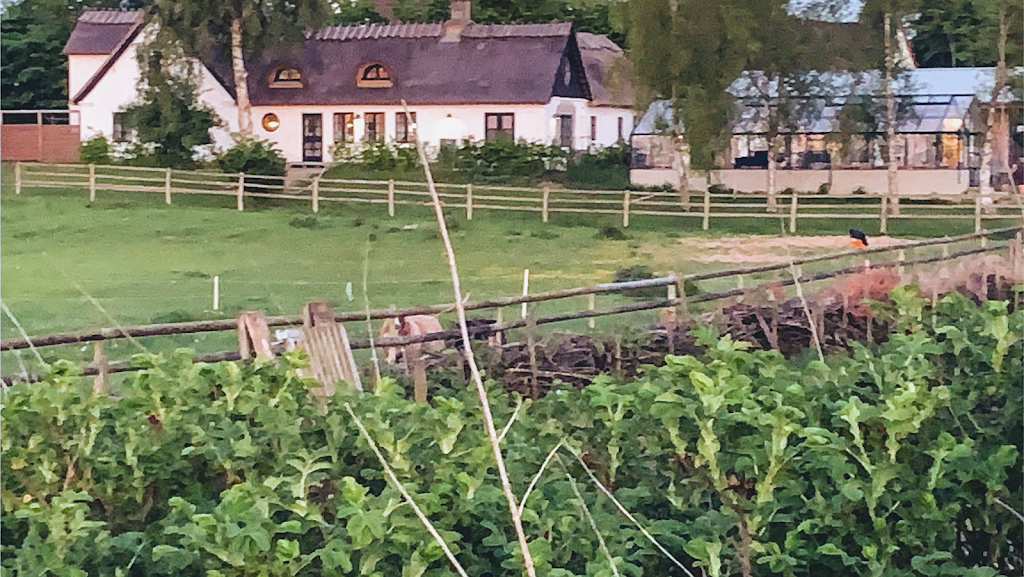 rabarbergarden-1.jpeg