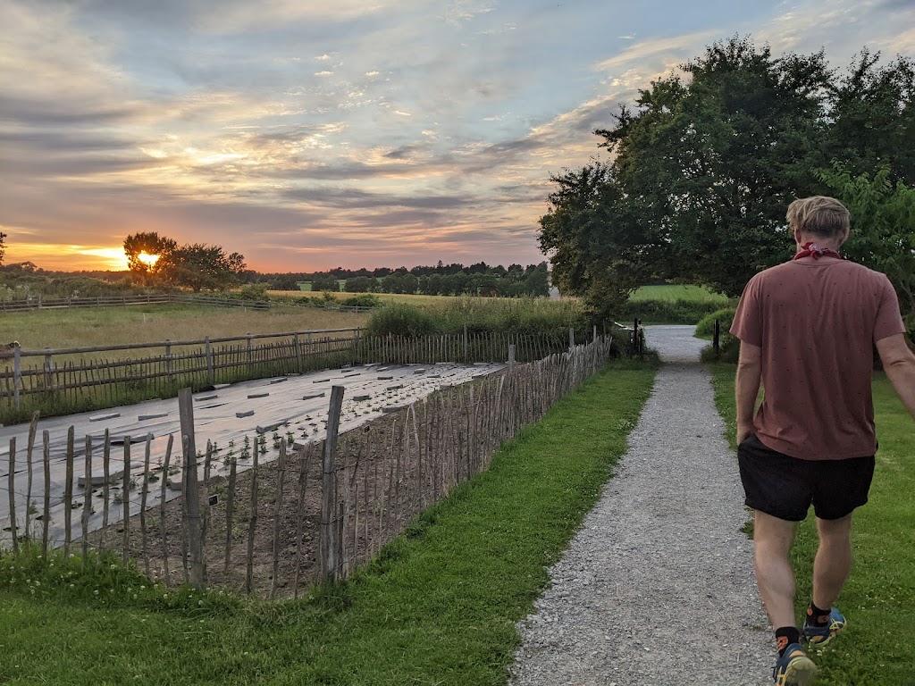 rabarbergarden-15.jpeg