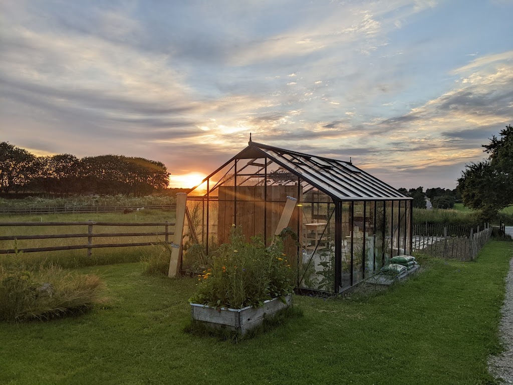 rabarbergarden-8.jpeg