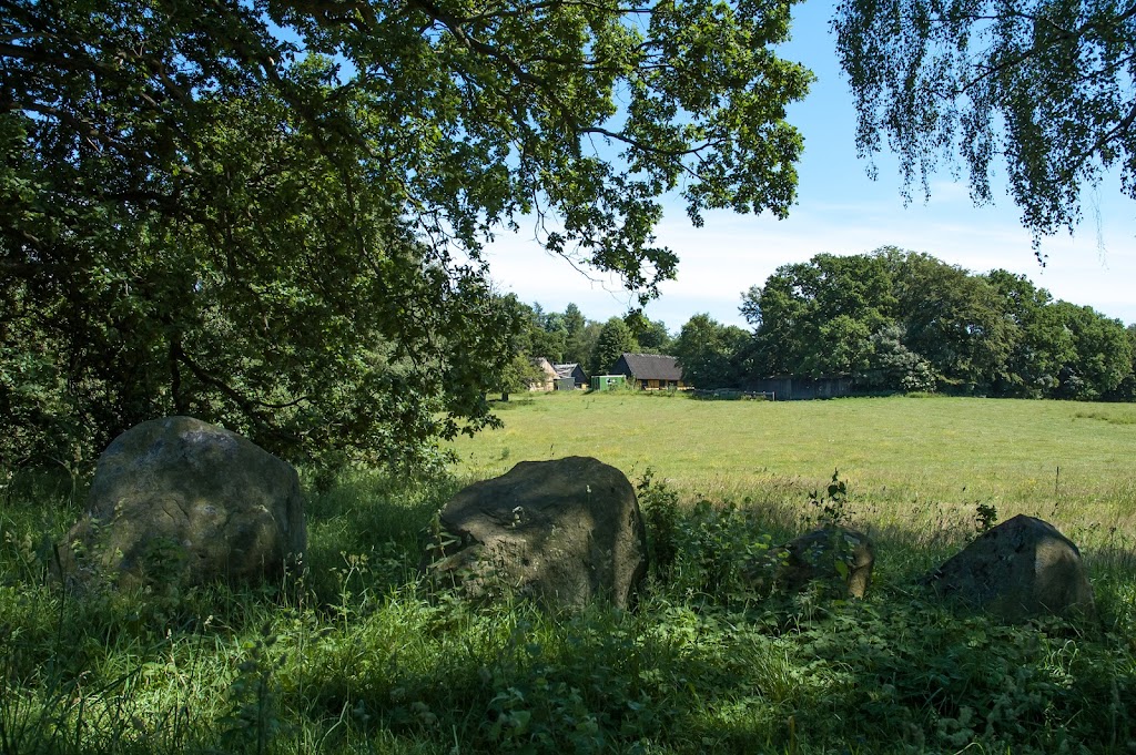 kongedyssen-5.jpeg