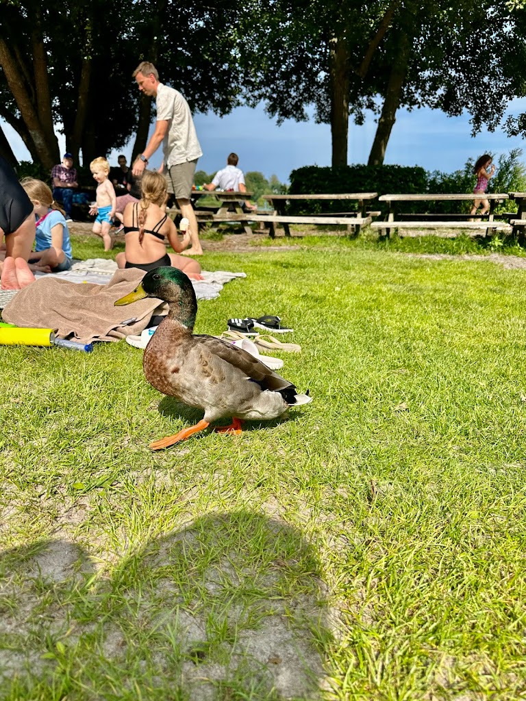 fureso-badeklub-16.jpeg