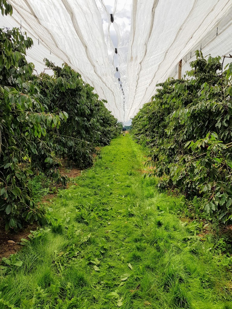 skibby-farm-18.jpeg