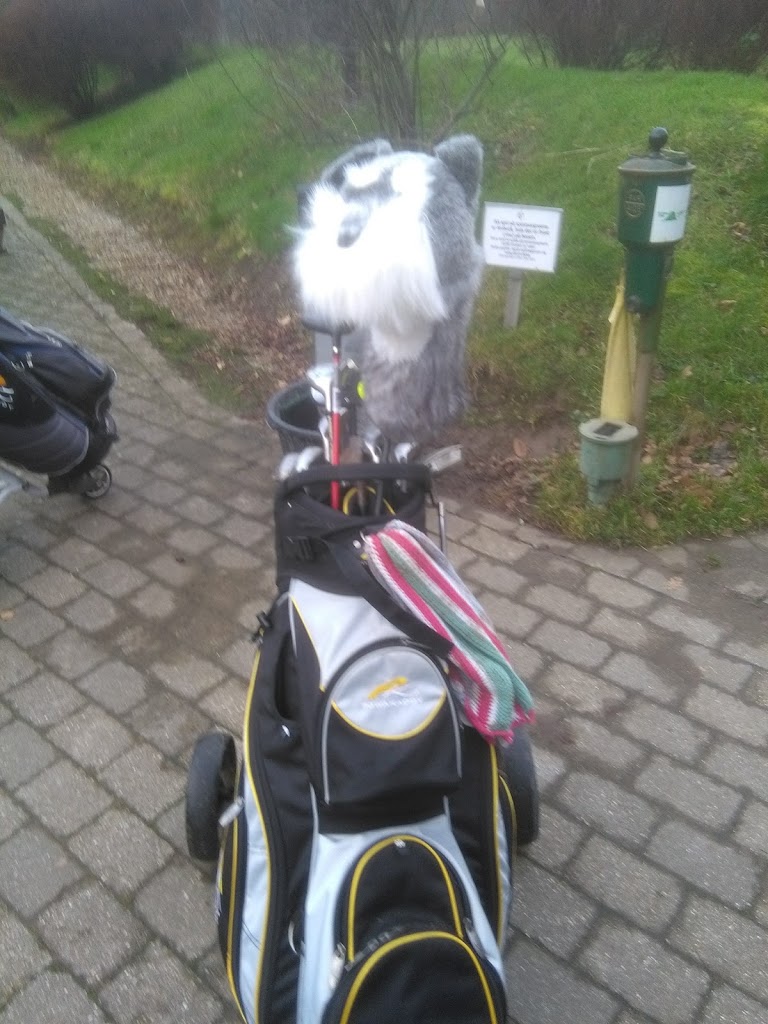 albertslund-golfklub-8.jpeg