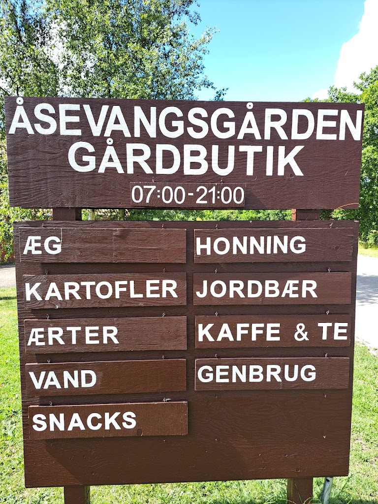 asevangsgarden-aeg-fra-frilandshoner-5.jpeg
