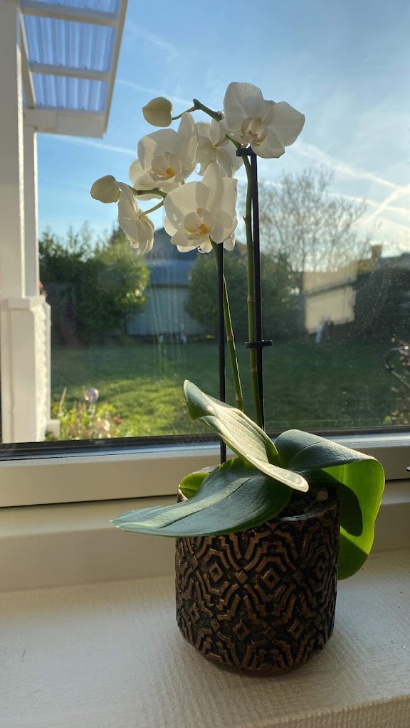 asnaes-blomster-7.jpeg